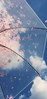 Cherry blossom umbrella under blue sky and clouds.