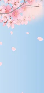 Cherry blossom branches with pink petals falling on a blue sky background.