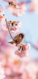 Cherry blossom branches with a small bird perched delicately.