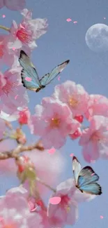 Cherry blossoms and butterflies against a serene moonlit sky wallpaper.