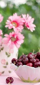 Pink daisies and cherries in a vase setting.