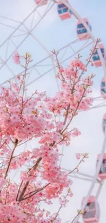 Cherry blossoms with Ferris wheel in background, under a clear blue sky.