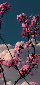 Cherry blossoms against a moonlit dark blue sky, perfect for mobile wallpaper.