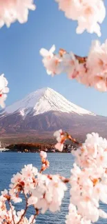 Cherry blossoms framing Mount Fuji under a blue sky.