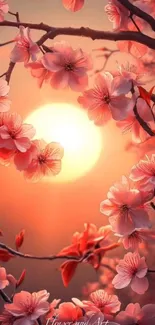 Cherry blossoms glowing at sunset.