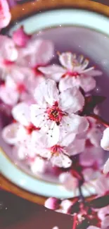 Cherry blossom wallpaper with pink flowers and soft background.