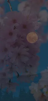 Cherry blossoms and moon in night sky wallpaper.