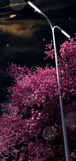 Cherry blossom tree under a streetlight at night with a dark, starry sky.