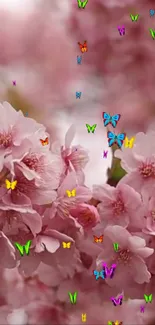 Pink cherry blossoms with colorful butterflies.