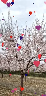 Blooming cherry tree with scattered heart shapes on a bright spring day.