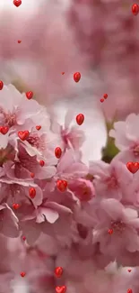 Cherry blossoms with red hearts floating gently above the delicate pink petals.