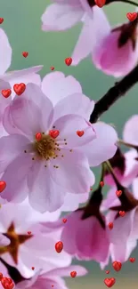 Pink cherry blossoms with red hearts overlay on a serene background.