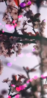 Cherry blossoms with pink hearts overlay on a branch.