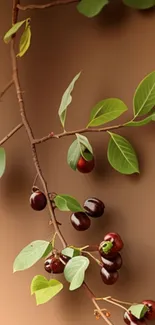 Cherry branch with green leaves on a brown background, perfect for nature-themed wallpaper.