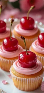 Cherry-topped cupcakes with pink frosting on a plate.