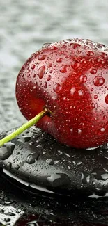 Vibrant red cherry on smooth black stones with droplets.