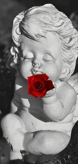 Monochrome cherub statue with a red rose in serene elegance.