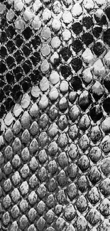 Black and white snakeskin pattern mobile wallpaper.