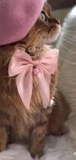 Cute cat with pink bow and beret on fluffy background.