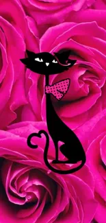 Black cat on vibrant pink roses wallpaper.