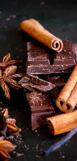Dark chocolate pieces with cinnamon sticks and star anise on a dark background.