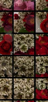 Vibrant red roses and white flowers wallpaper.