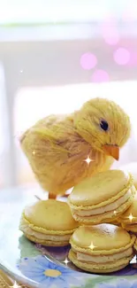 Cute duck with yellow macarons on a floral plate.