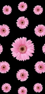 Mobile wallpaper with pink daisies on a black background.