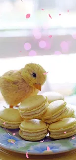 Fluffy chick with yellow macarons on a decorative plate.