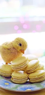 Yellow chick with macarons on a floral plate.
