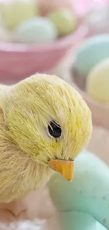 Cute chick with pastel Easter eggs in soft focus background.