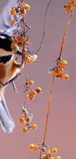 Chickadee on a branch with orange berries in autumn setting.