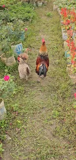 Two chickens on a vibrant garden path with colorful flowers.