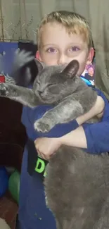 Child holding a large gray cat with a joyful expression, creating a cute scene.