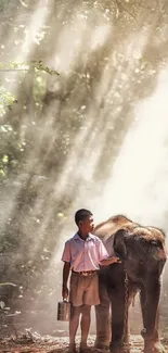 Boy and elephant in sunlit forest path.