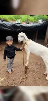 Young child holding a goat's rope in a farm setting.