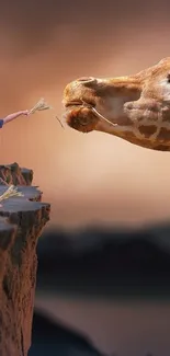 Child reaches across cliff to feed giraffe.