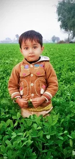 Child standing in lush green field, nature scene.