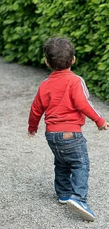 Child in red sweater walking on a leafy path.