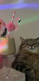 Relaxed cat next to a flamingo-themed drink with colorful light effects.