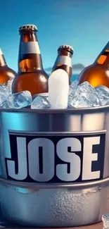 Beer bottles chilled in ice-filled bucket