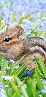 Chipmunk sits in a lush field of blue flowers, creating a peaceful mobile wallpaper.