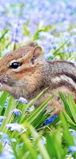 Chipmunk nestled in a meadow of vibrant flowers.