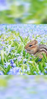 Chipmunk in a field of purple and green spring flowers.