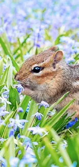 Chipmunk in a vibrant spring field of green and blue flowers.