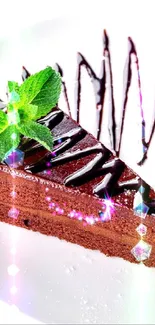 Delicious chocolate cake slice with mint on a white plate.