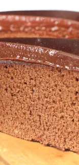 Close-up of a chocolate cake slice with rich frosting.