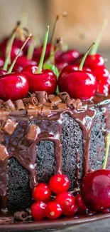 Chocolate cake topped with fresh cherries.
