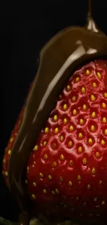 Close-up of a strawberry with chocolate drizzle.