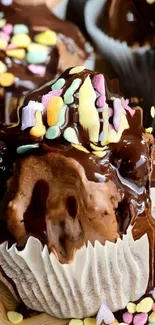 Chocolate cupcake with colorful sprinkles and chocolate drizzle.